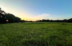TBD Lightning Bug Lane, Goodman, MO 64843