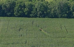 3330 KY 1770, Stanford, KY 40484
