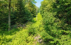 135 Dragoo Road, Maryland, NY 12155