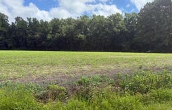 0 Near 403 Flynn Cemet Road, Whiteville, NC 28472