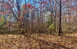 K57 & K68 FOREST EXT DRIVE, LURAY, VA 22835