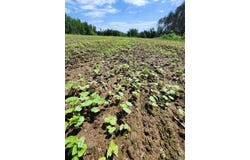 00 N Olson Rd, Hayward, WI 54843