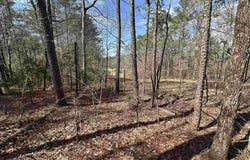 Lot 0 Dearmanville Road, Anniston, AL 36207