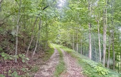 Marcum Creek Rd, Oneida, TN 37841