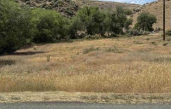 Bell Rapids Road, Hagerman, ID 83332