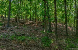 Lot 1169,1143 Elliott Place, Edwards, MO 65329