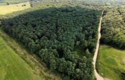 Cr 331 Hwy 62, Pollard, AR 72454