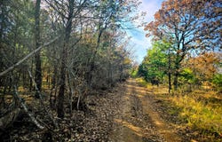 60 SE 136th Rd, Bengal, OK 74563