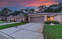 1907 PRESERVATION Drive, PLANT CITY, FL 33566
