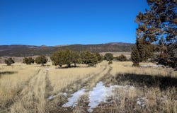 Tbd Tract 5 Bostwick Park Road, Montrose, CO 81403