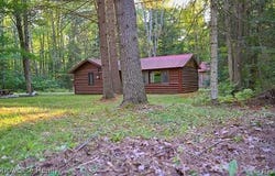 7745 Alpine Drive, Summerfield Twp, MI 48625