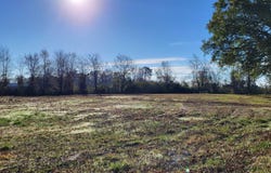 401 Randel, Benton, AR 72019