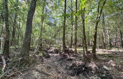 T-4 State Road 3205, Oakdale, LA 71463
