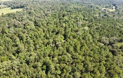 AB 247-2 CR 416, San Augustine, TX 75972