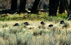 7700 Labarre Rd, Fort Benton, MT 59442
