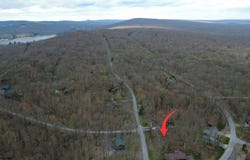 Anemone Lane, Terra Alta, WV 26764