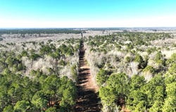Tbd Bamboo Road, Big Sandy, TX 75755