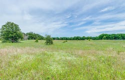 335 County Road 1264, Whitesboro, TX 76273