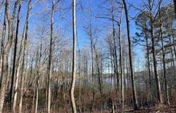 Excalibur Trail (Lot 237), Cedar Grove, TN 38321