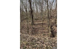0001 Rock Spring Road, Owens Cross Roads, AL 35763