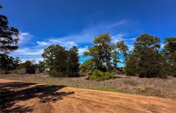 Lot 3 Winding Pine DR, Bastrop, TX 78602