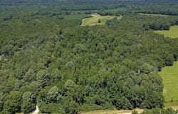 6925 Cobbham Road, Appling, GA 30802