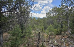 3221 Elk Springs Drive, Glenwood Springs, CO 81601