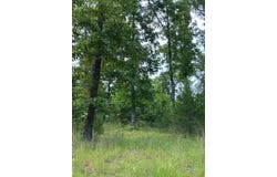 County Road 355 Lot 19, Dora, MO 65637