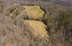 50 Acres Sutton Hollow Road, Sneedville, TN 37869