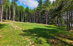 TBD Dogwood LN, Willis, VA 24380