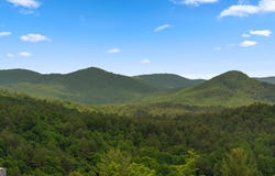 9 Quail Hollow LN, Blue Ridge, GA 30513