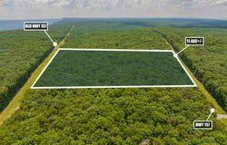 0 157 Highway GA, Menlo, GA 30731