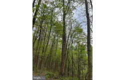 763 WHETSTONE ROAD, MANNINGTON, WV 26582