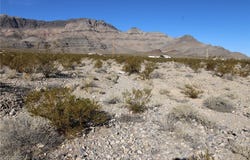 6400 N Alcove Lane, Pahrump, NV 89060