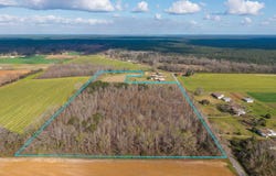 6562 Will Jones Rd, Jay, FL 32565