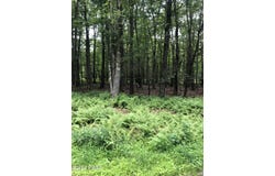 9 Basswood Drive, Newfoundland, PA 18445