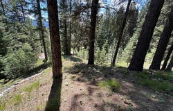 9810 Brian Way lot: 14, Smith's Ferry, ID 83611