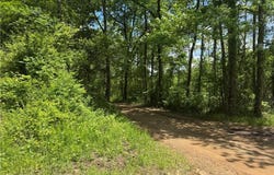 Tract 1 NC 7540, Ozone, AR 72854