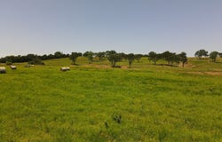 3760 N 369, Holdenville, OK 74848