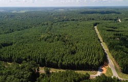 Fortune Hole Road, Hamilton, GA 31811