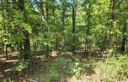 L-13, B-6 Calumet Drive, Cherokee Village, AR 72529