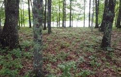 131 Camp Creek Circle, Spencer, TN 38585