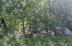 * Frontera, Del Rio, TX 78840