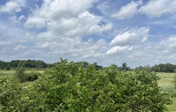 0 Wheeler Road, Coldwater, MI 49036