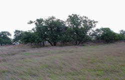 253 Apache Trace lot: 8, Harper, TX 78631