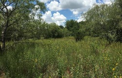 17923-a County Road 4075, Scurry, TX 75158