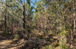 00 SW 59TH DRIVE, Jasper, FL 32052