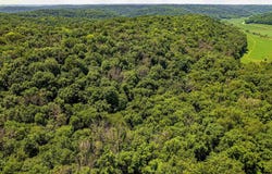 80 Acres 020-1133-000, 020-1134-0000, Richland Center, WI 53581