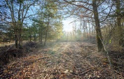 23 Painted Bunting Trail, Smithville, OK 74957