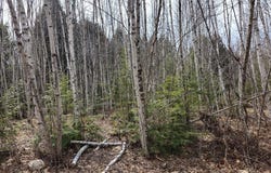 Woodland Drive, Carmel, ME 04419
